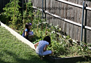 I love seeing their kids out in the garden, exploring the things we're growing.